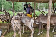 Thomas Junker unterwegs – Thomas Junker bei den Rentierzüchtern in Lappland, Finnland