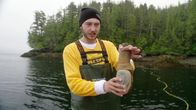 mareTV – Vancouver Island hat sich zu einem Hauptlieferanten der wilden Elefantenrüsselmuschel entwickelt. Sie weckt wegen ihres Aussehens weltweit Phallus-Assoziationen. Im asiatischen Raum gilt der Verzehr als potenzsteigernd.