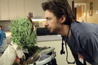 Scrubs - Die Anfänger – Was ist nur mit J.D. (Zach Braff, r.) los - hat er wirklich Besuch von Oscar (l.) aus der Sesamstrasse erhalten?