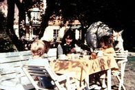 Pippi Langstrumpf – 2. Die Anordnung der Mutter, Tommi (Pär Sundberg) und Anikka (Maria Persson) müßten den ganzen Tag im Garten arbeiten, bringt die beiden dazu, Reißaus zu nehmen.