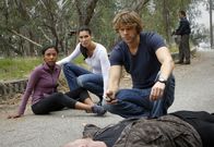 Navy CIS: L.A. – Ermitteln gemeinsam in einem neuen Fall: Kensi (Daniela Ruah, 2.v.l.) und Deeks (Eric Christian Olsen, M.) ...