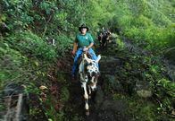 Hawaii - Inside Paradise – Der Herr der Mulis - Buzzy Sproat.