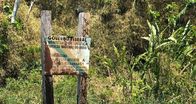 SOS Amazon - Apocalypse in the Rainforest – SOS Amazon - Apocalypse in the Rainforest (2019)