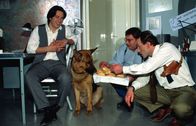 Kommissar Rex – v.r.) freuen sich.