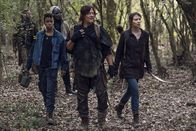 The Walking Dead – The Walking Dead (2021)