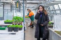 Der Alte – Annabell Lorenz (Stephanie Stumph) sieht sich am Arbeitsplatz des Opfers genauestens um.