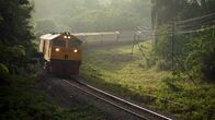 Traumzüge – Mit der Südbahn Thailands können Reisende quer durchs Land fahren. Doch häufig werden die Gleise von Pflanzen überwuchert.