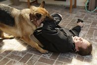 Navy CIS – Das Team ermittelt in einem Fall von Drogenschmuggel. Beim Erstürmen eines Hauses wird McGee (Sean Murray) vom "wachhabenden" Schäferhund angegriffen und verletzt ...