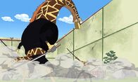 One Piece – Do, 17.07., 16:45 Uhr