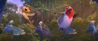 Rio 2 - Dschungelfieber – Rio 2 - Dschungelfieber (2014)