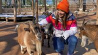 Anna und die Haustiere – Die neugierigen Zwergziegen sind alle sehr an Anna interessiert.