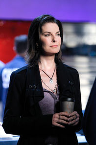 CSI: NY – CSI: NY (2011)