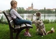 Käthe und ich - Papakind – Therapiehündin Käthe (Hoonah) tröstet die traurige Johanna (Amely Trinks).