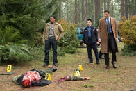 Grimm – Grimm (2014)