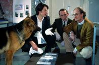 Kommissar Rex – Kommissar Richie Moser (Tobias Moretti, l.) und Assistent Stockinger (Karl Markovics, M.) präsentieren dem Untersuchungsrichter (Levin Lange, r.) Rex' Spürhund-Qualitäten. Der vierbeinige Kommissar hat keine Probleme, die richtige Duftprobe zu identifizieren.