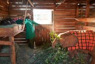 Ein perfekter Planet – Die Pfleger der kleinen Elefantenwaisen sind rund um die Uhr an sieben Tagen in der Woche für ihre kleinen Patienten da, wie hier im "Sheldrick Wildlife Trust" in Nairobi/Kenia.