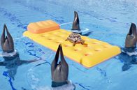 Athleticus – Die Robben performen ihre Synchronkür im Pool – zunächst sehr zum Missfallen der Schildkröte.