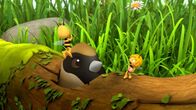 Die Biene Maja – Maja und Willi spielen mit einer Beere, die ein Vogel auch gerne hätte.