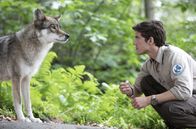 Der Ranger - Paradies Heimat – Jonas Waldek (Philipp Danne), Ranger im Nationalpark Sächsische Schweiz, entdeckt einen Wolf.