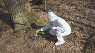 Täterjagd – In einem Wald, zehn Kilometer vom Haus der Desnoues entfernt, wird eine Leiche gefunden. Doch es sind nur noch Knochen und Haare übrig.