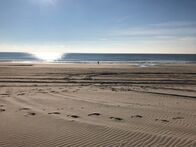 When Sharks Attack - Hai-Alarm – A beach near Fire Island National Seashore.