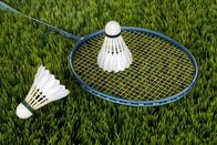 Badminton: Austrian Open – Badminton, racket