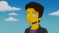 Die Simpsons – Die Simpsons (2013)
