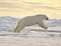 Tierisch abgefahren – Sa, 07.09., 16:30 Uhr