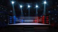 WWE Rivals – Boxkampf-Ring/Ringer-Ring