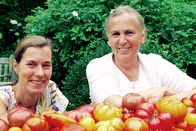 Zu Tisch ... – Die "Tomatenfreundinnen" Margarethe Triebaumer (re.) und Annette Hofmann (li.) aus dem Burgenland setzen sich für alte Tomatensorten ein.