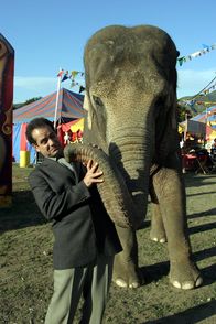 Monk – Der sarkastische und unbeliebte Zirkusdirektor Serge wird in einem Gartenlokal vor den Augen der anderen Gäste von einem verkleideten Artisten erschossen. Adrian Monk (Tony Shalhoub) nimmt die Ermittlungen auf.