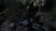 Mythos - Die größten Rätsel der Geschichte – Der Werwolf - ein uralter Mythos. Das blutrünstige Zwitterwesen aus Wolf und Mensch fürchten viele Menschen seit Jahrhunderten. Noch heute ist der Werwolf beliebter Protagonist im Kino.