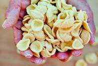 Jamie kocht Italien – Jamie kocht Italien Folge 2 Handgemachte Orecchiette Copyright: SRF/David Loftus