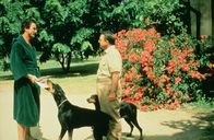 Magnum – Jonathan Higgins (John Hillerman, r.) teilt Thomas Magnum (Tom Selleck, l.) mit, dass seine Cousine Sally nach Hawaii kommt, um in eine der ältesten Familien der Insel einzuheiraten.