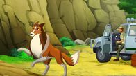 Lassie – Lassie stellt sich tapfer den Ganoven in den Weg.