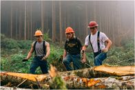 Ax Men - Die Holzfäller – Fr, 09.09., 04:50 Uhr