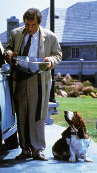 Columbo – Lt. Columbo (Peter Falk) mit seinem treuesten Freund, dem Bassett "Hund"