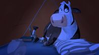 Lieselotte – Eine Nacht im Zelt hat sich Lieselotte anders vorgestellt.