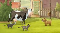Lieselotte – Lieselotte, Hund und die Katzen spielen gemeinsam mit dem Tischtennisball.