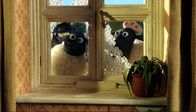 Shaun das Schaf – Beim Fensterputz bekommen die Schafe schnell wieder den Durchblick.