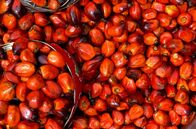 Stadt Land Kunst – An der Elfenbeinküste wird Reis mit Sauce Graine zubereitet, die aus dem Saft gekochter und zerkleinerter Palmkerne hergestellt wird.