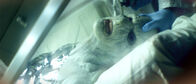 Crawlspace – Crawlspace (2012)
