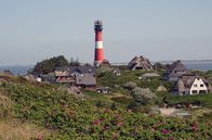 Zu Tisch ... – Die Sylter Rosen, Dünen, ein Leuchtturm und reetgedeckte Häuser machen die Sylter Landschaft aus.