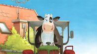 Lieselotte – Platz da! Hier kommt Lieselotte, die erste Traktor-Rennfahrerkuh!