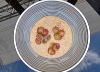 MarktFrisch – Profikoch Frank Brunswig versucht heute Nicht-Koch Jens Hübschen das Kochen beizubringen Als Dessert gibt's "Rote Stachelbeeren und Kokosgries".