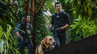 Hawaii Five-0 – Hawaii Five-0 (2019)