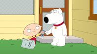 Family Guy – Als Brians (r.) neues Theaterstück ein Erfolg wird, beschließt Stewie (l.) auch eins zu schreiben und gibt es Brian zum Lektorat. Der muss allerdings feststellen, dass Stewies Werk besser ist als sein eigenes und lässt es deshalb heimlich verschwinden ...