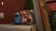 Die Muskeltiere – Katzenalarm im Hauptquartier der Muskeltiere.