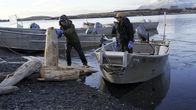 Alaska - Eisige Tradition – Justin Phillips und Marvin Agnot beim Sammeln von Treibholz für Brennholz. (National Geographic)