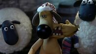 Shaun das Schaf – Oh weh! Bitzer hat schreckliche Zahnschmerzen und kann nicht schlafen.